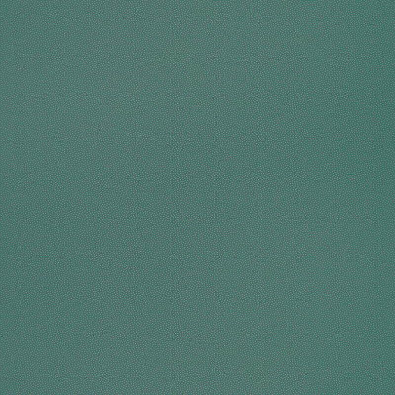 100407926 Goma L'Odyssee Wallpaper By Caselio