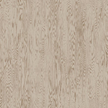 100409AH Wood Grain by Wallpaper by Arthouse