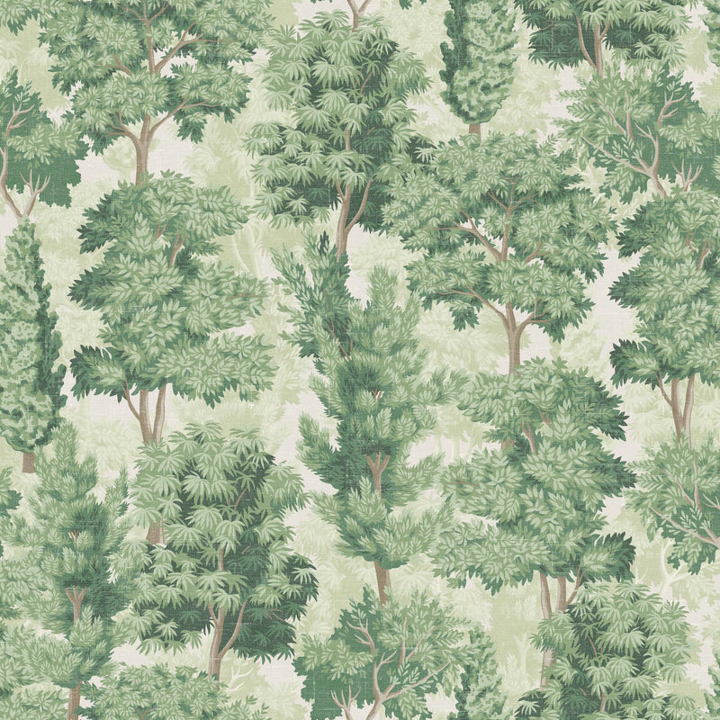 100411AH Organic Forest by Wallpaper by Arthouse