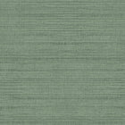100426AH Raffia Texture by Wallpaper by Arthouse