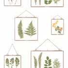 100637070 ( BIS 10063 70 70 ) Millefeuille Au Bistrot DAlice Wallpaper By Caselio