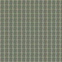 100799BH Baxter Green/Brown Belfield Fabric by Belfield Home