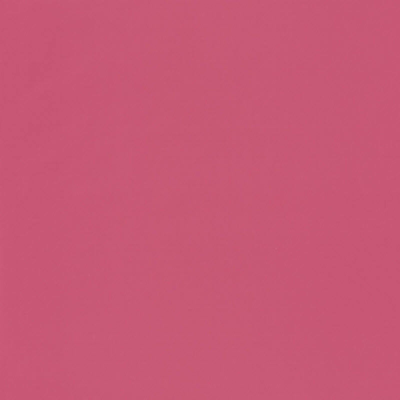 100874218 ( GPR 10087 42 18 ) Uni Girl Power Wallpaper By Caselio