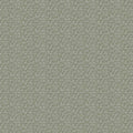Wincott Sage Belfield Fabric by Belfield Home