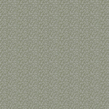 100913BH Wincott Sage Belfield Fabric by Belfield Home