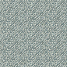 100931BH Grafton Sky Belfield Fabric by Belfield Home