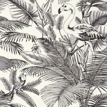 MLG101039000 Tropical World Moonlight Wallpaper By Caselio