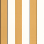 BAI101072124 Golden Lines Basics Stripe Wallpaper By Caselio