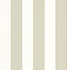 101077036 Golden Lines Vert Amande Dore Wallpaper by Caselio