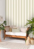 101077036 Golden Lines Vert Amande Dore Wallpaper by Caselio