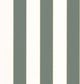 Golden Lines Vert Eucalyptus Blanc Maison Simeon Wallpaper by Caselio