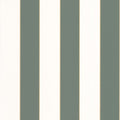 Golden Lines Stripe Vert Eucalyptus Blanc Wallpaper by Caselio