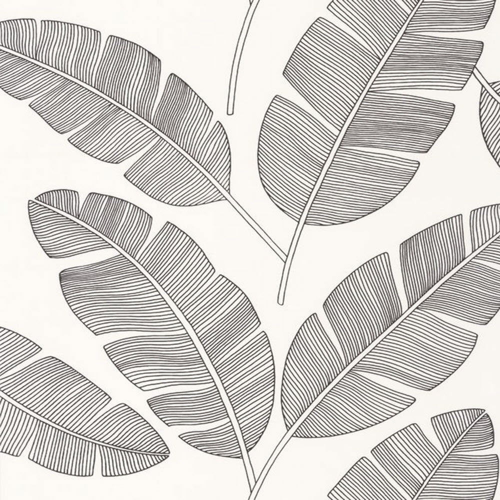 MLG101099007 Banana Tree Moonlight Wallpaper By Caselio