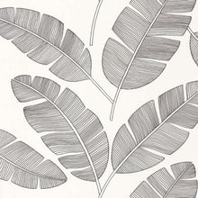 MLG101099007 Banana Tree Moonlight Wallpaper By Caselio