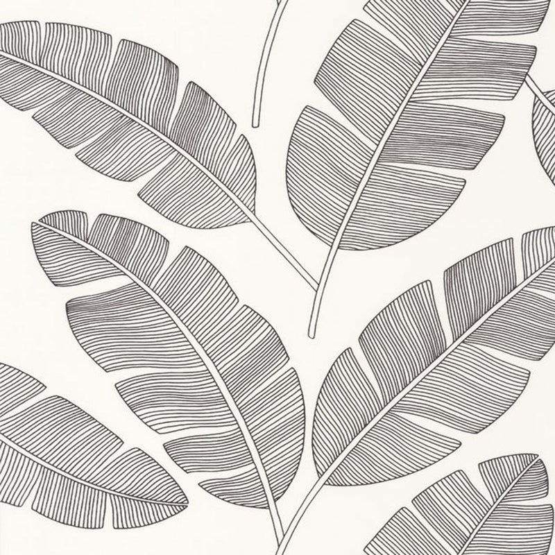 MLG101099007 Banana Tree Moonlight Wallpaper By Caselio