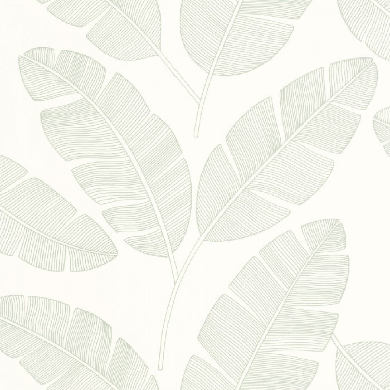 101100723 Moonlight Banana Tree Green & Co Vert Amande Wallpaper By Caselio
