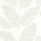101100723 Moonlight Banana Tree Green & Co Vert Amande Wallpaper By Caselio