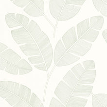 101100723 Moonlight Banana Tree Green & Co Vert Amande Wallpaper By Caselio