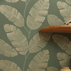 101107142 Moonlight Banana Tree Green & Co Vert Kaki Wallpaper By Caselio