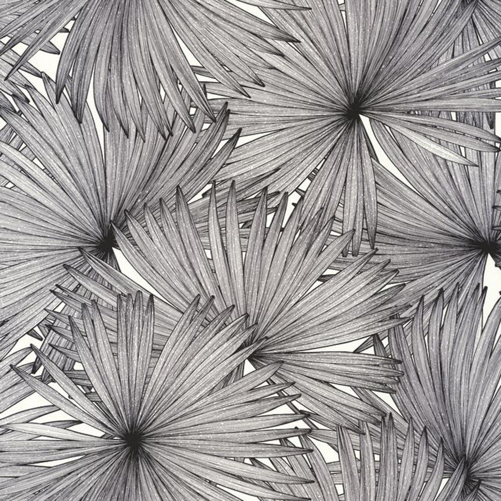 MLG101249000 ( 101249000 ) Coconut Moonlight Wallpaper By Caselio