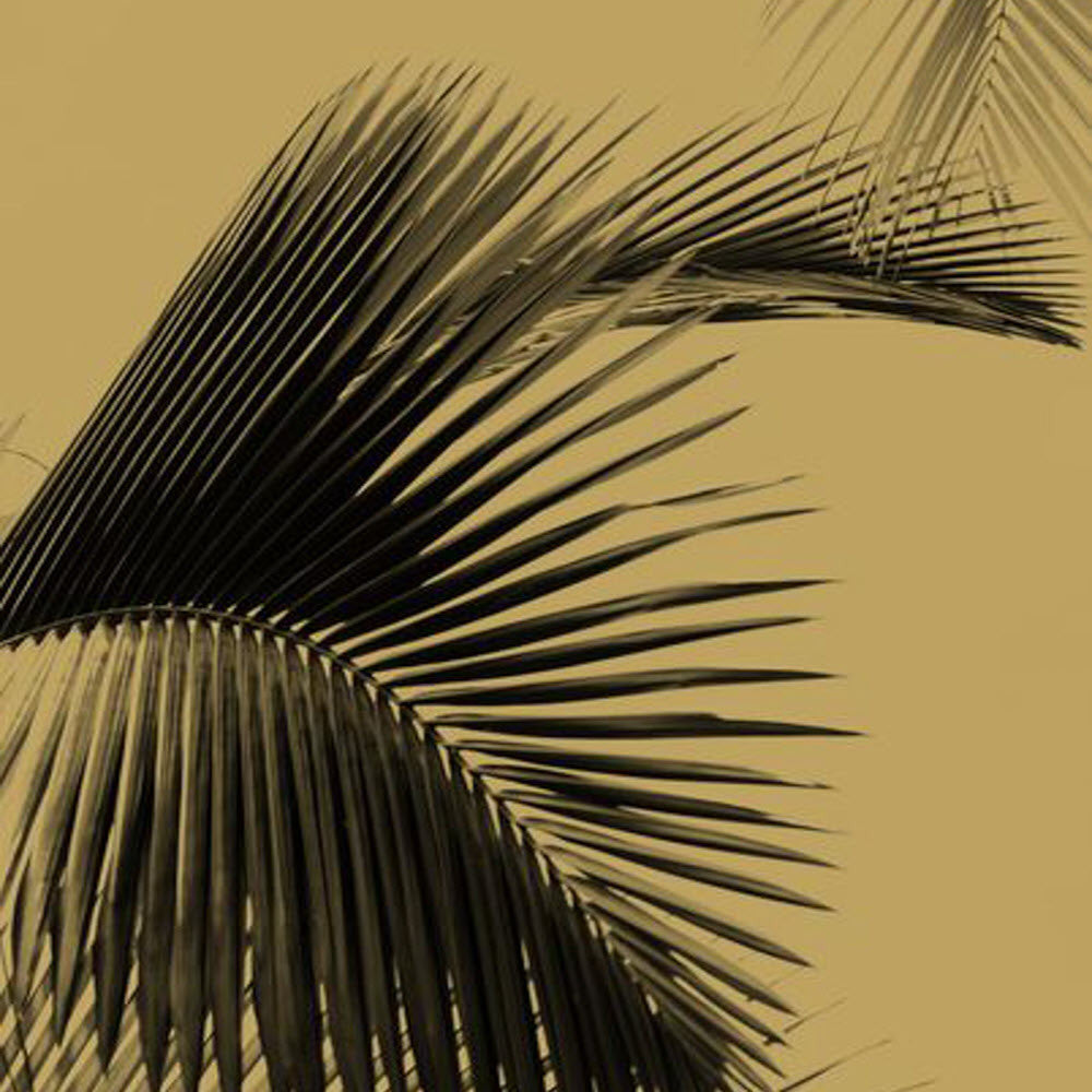 MLG101292098 Honey Palm Moonlight Wallpaper By Caselio