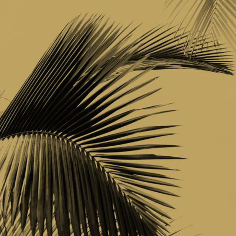 MLG101292098 Honey Palm Moonlight Wallpaper By Caselio