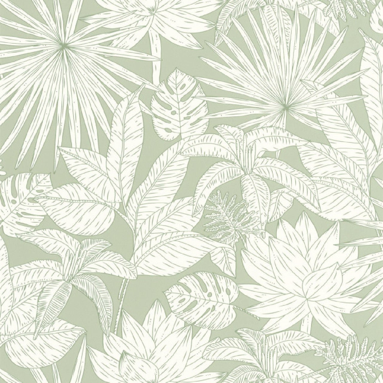 101437041 Odyssee Hawai Green & Co Vert D'Eau Wallpaper By Caselio