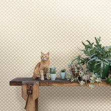 101453131 Mayotte L'Odyssee Wallpaper By Caselio