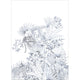 Panoramique Kenya Noir Et Blanc Beauty Full Image 2 Mural by Caselio