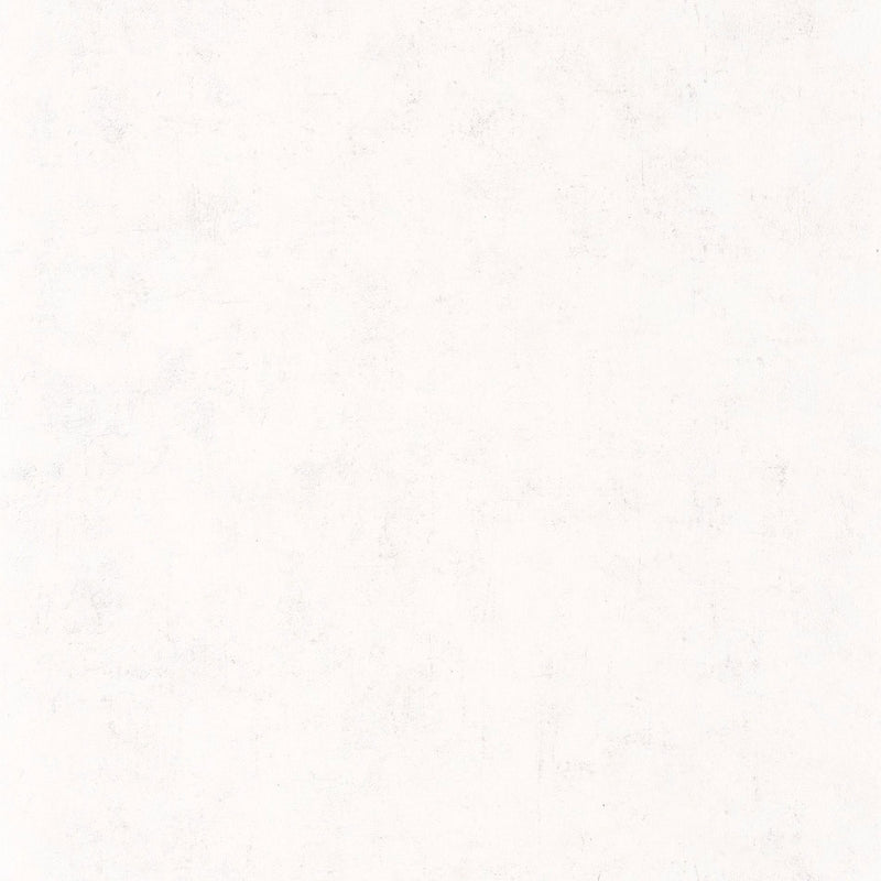 BTO101480000 Beton Uni Beton 2 Wallpaper By Caselio