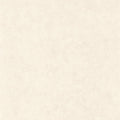 Beton Uni Beton 2 Wallpaper By Caselio
