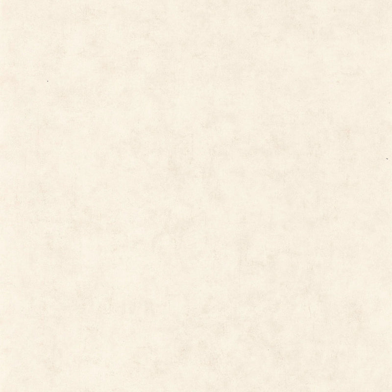 BTO101480010 Beton Uni Beton 2 Wallpaper By Caselio