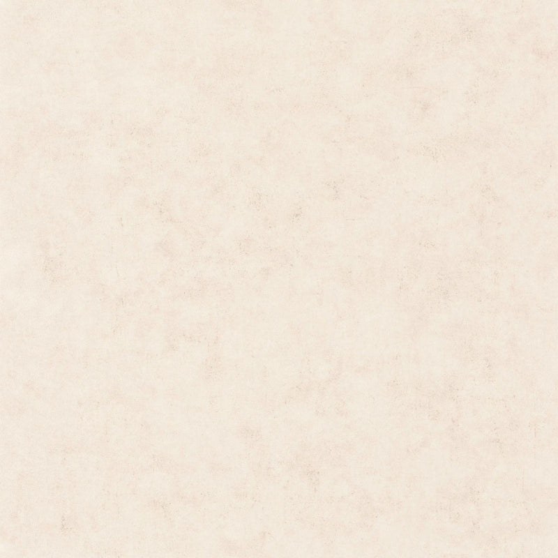 BTO101481002 Beton Uni Beton 2 Wallpaper By Caselio