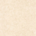 Beton Uni Beton 2 Wallpaper By Caselio