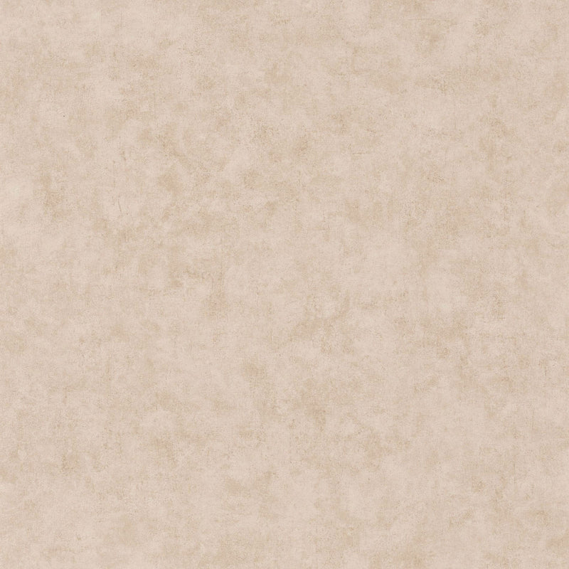 BTO101481156 Beton Uni Beton 2 Wallpaper By Caselio