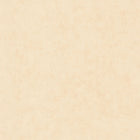 BTO101481247 Beton Uni Beton 2 Wallpaper By Caselio