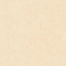 BTO101481247 Beton Uni Beton 2 Wallpaper By Caselio