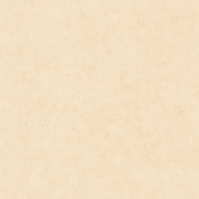 BTO101481247 Beton Uni Beton 2 Wallpaper By Caselio