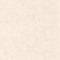 Beton Uni Beton 2 Wallpaper By Caselio