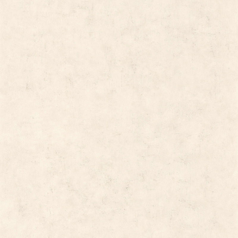 BTO101481258 Beton Uni Beton 2 Wallpaper By Caselio