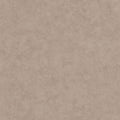 Beton Uni Beton 2 Wallpaper By Caselio