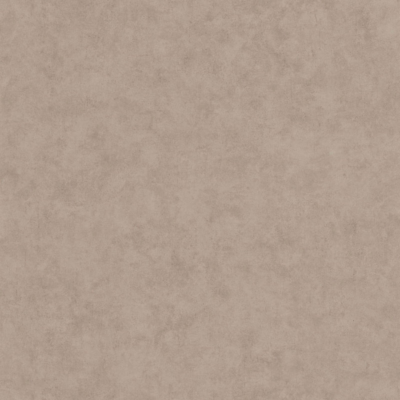 BTO101481462 Beton Uni Beton 2 Wallpaper By Caselio