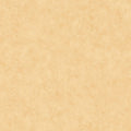 Beton Uni Beton 2 Wallpaper By Caselio