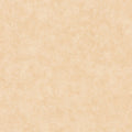 Beton Uni Beton 2 Wallpaper By Caselio