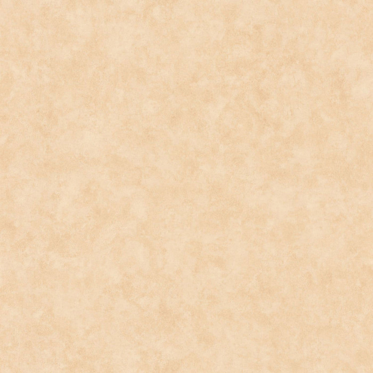 BTO101481674 Beton Uni Beton 2 Wallpaper By Caselio