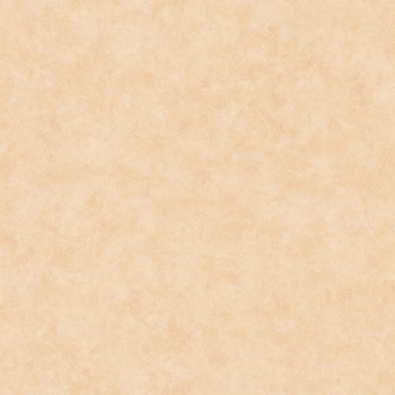 BTO101481674 Beton Uni Beton 2 Wallpaper By Caselio