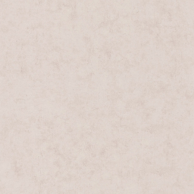 BTO101481693 Beton Uni Beton 2 Wallpaper By Caselio