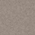Beton Uni Beton 2 Wallpaper By Caselio