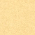 Beton Uni Beton 2 Wallpaper By Caselio