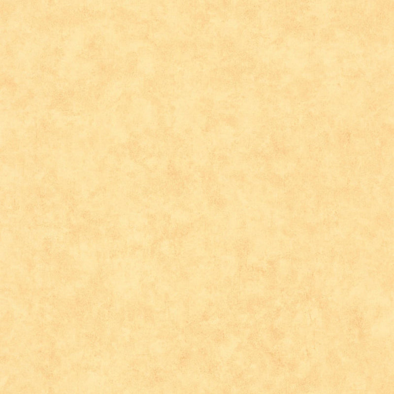 BTO101482200 Beton Uni Beton 2 Wallpaper By Caselio